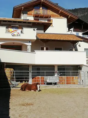 a brown and white cow laying in front of a building at Horse House in Romallo