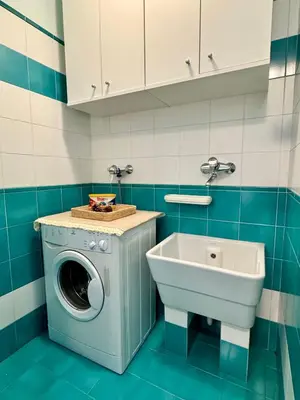 a bathroom with a washing machine and a sink at Antler Apartment in Santa Fosca
