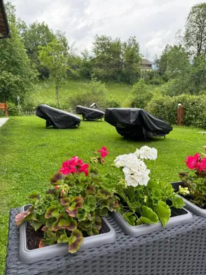 three potted plants on a table in the grass at Silentium Dolomites Chalet in Monguelfo