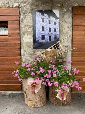 two large planters filled with pink flowers in front of a building at Casa Danoli in Canale San Bovo