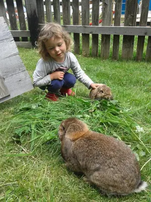 a little girl sitting in the grass with two rabbits at Ciasa Odlina in La Villa
