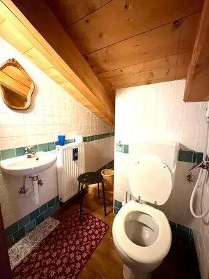 a bathroom with a toilet and a sink at Ciasa De Cin - 10 minutes from Cortina in San Vito di Cadore