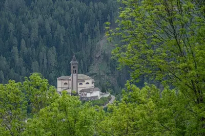 a building with a clock tower in the middle of trees at Casa Lugli by go new location in Cavalese