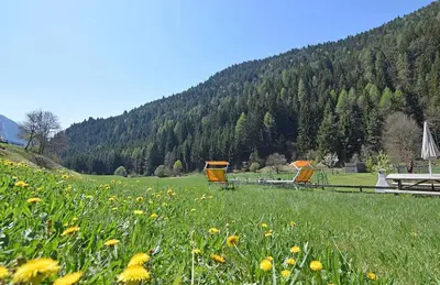 a field with two picnic tables and a field of flowers at Mansarda Ai Tigli in Castello di Fiemme