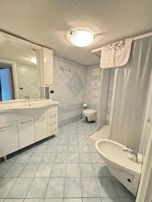 a bathroom with a sink and a toilet and a mirror at Sweet Home in Moena