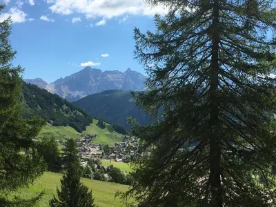 a village in a valley with a tree at Ciasa Roenn in Colfosco