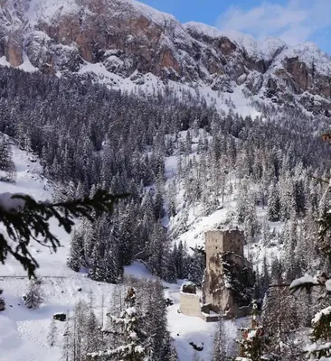 a mountain with trees and a building in the snow at Appartamento Lagazuoi nel cuore delle Dolomiti in Livinallongo del Col di Lana