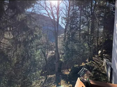 a view of a hill with trees and the sun at Appartamento Lagazuoi nel cuore delle Dolomiti in Livinallongo del Col di Lana