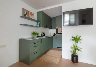 a kitchen with green cabinets and a potted plant at Apartment Merano Mitte in Merano