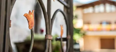 a close up of a flower on a bench at Ansitz Mair im Korn in Lagundo