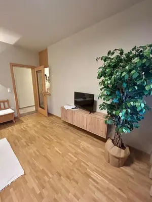 a living room with a television and a potted plant at Apartment Martha in Sankt Leonhard in San Leonardo in Passiria