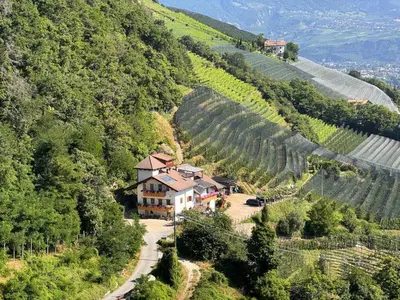 a house on a hill next to a vineyard at Törggelehof Lana in Lana