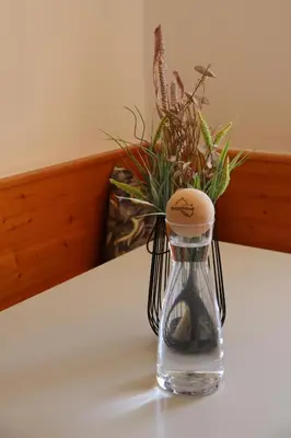 a glass vase with a plant on a table at Törggelehof Lana in Lana