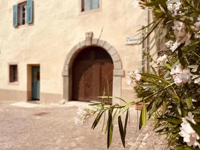 a building with a door and a tree with pink flowers at Zum Nussbaum in Termeno