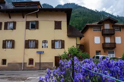 a building with purple flowers in front of it at Casa Quinta by Go New Location in Predazzo
