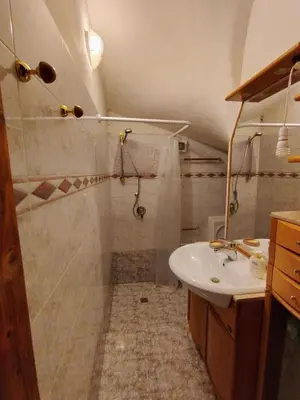 a bathroom with a shower and a sink at Appartamento Bill Sottoguda in Sottoguda