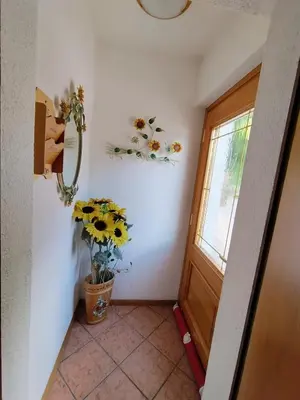 a hallway with a door and a vase of flowers at Appartamento Bill Sottoguda in Sottoguda