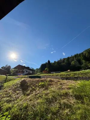 a field of grass with the sun in the sky at Il Cirmolo in Canale dʼAgordo