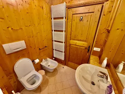 a wooden bathroom with a toilet and a sink at Dolomiti quiet apartment with garden - San Vito in San Vito di Cadore