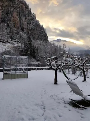 a snow covered bench sitting next to a tree at Il Giardino dell'Eden in Caprile