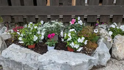 a bunch of flowers in a garden with rocks at Il Giardino dell'Eden in Caprile