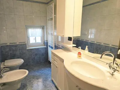 a bathroom with a sink and a toilet at Essenze di Bosco - Alpine Stay Apartments in Predazzo