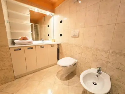 a bathroom with a toilet and a sink at Essenze di Bosco - Alpine Stay Apartments in Predazzo