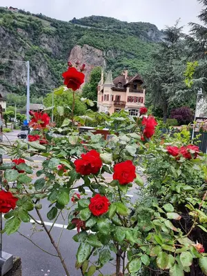 a group of red roses in front of a house at Vintage Castle 