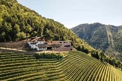 a house on a hill next to a vineyard at Hochegg Hideaway in Laives