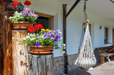 a bunch of flowers in pots on a wall at Apartments DAMONT in Santa Cristina in Val Gardena