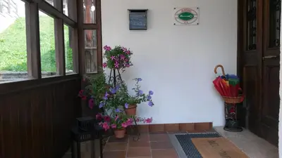 a room with potted plants on the side of a wall at Albergo al Sole in Val di Zoldo