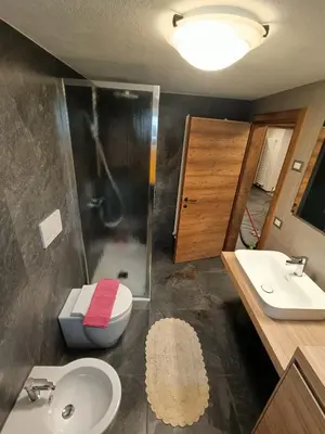 a bathroom with a sink and a toilet and a shower at Casa Soraya 2 in Falcade