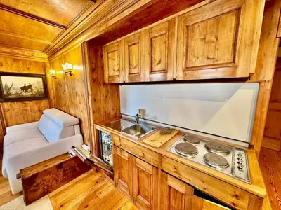 a kitchen with a stove and a sink in a room at Ca del Rio - Cortina in Cortina dʼAmpezzo