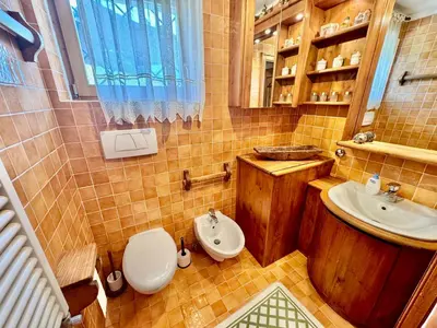 a bathroom with a toilet and a sink at Ca del Rio - Cortina in Cortina dʼAmpezzo