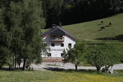 a white house on a hill with cows in a field at Ferienwohnung Pirchner in San Lorenzo di Sebato