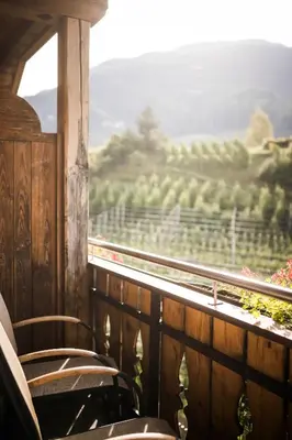 a train with chairs looking out the window at a vineyard at Moarhof Albeins in Albes