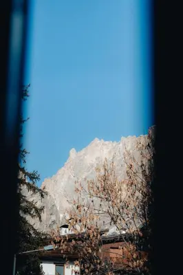 a mountain in front of a building with a tree at Hotel Oasi in Cortina dʼAmpezzo