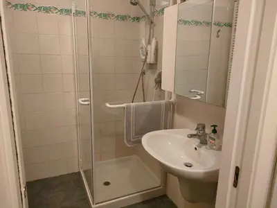 a bathroom with a shower and a sink at Appartamento Maso Tati in Predazzo