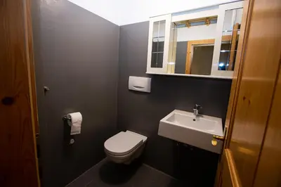 a bathroom with a toilet and a sink and a mirror at Gatscherhof Retreat - Family Appartement in Chienes