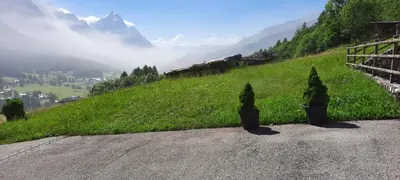a train on a hill with two trees on the side at Casa Falco in Cortina dʼAmpezzo