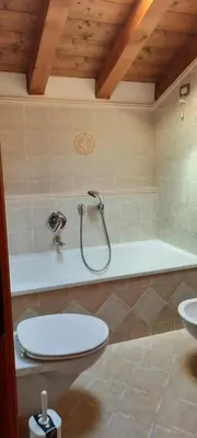 a bathroom with a shower and a toilet and a tub at Casa Falco in Cortina dʼAmpezzo