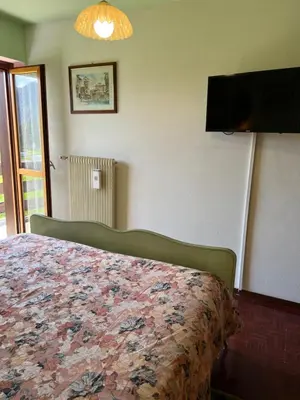 a bedroom with a bed and a television on the wall at Ca' Virginia - Val di Fassa in Vigo di Fassa