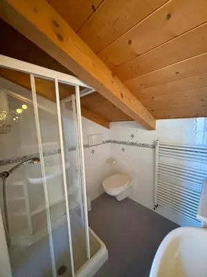 a bathroom with a shower and a toilet and a sink at Pragma Apartments - Casa Defrancesco in Cavalese