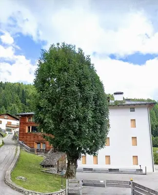 a tree in front of a white building at Sunny and cosy holiday apartment in the Dolomites in Pianaz