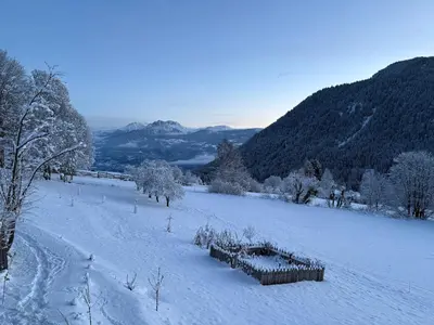 a snow covered field with trees and mountains at Berg Apartment Vajolet - Unterweger Berg Apartments in Tisens