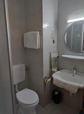 a bathroom with a toilet and a sink and a mirror at Apartment Kapplerhof in Lana