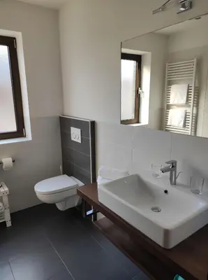a bathroom with a sink and a toilet and a mirror at Apartment Kapplerhof in Lana
