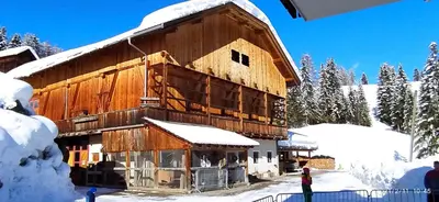 a large wooden building with snow on it at Farm apartment I neni in Lovara