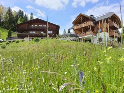 a house on a hill with a field of grass at Farm apartment I neni in Lovara
