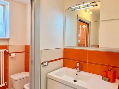 a bathroom with a sink and a mirror at Alberi di Fiemme in Castello di Fiemme